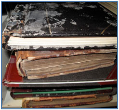 Moldy Books
