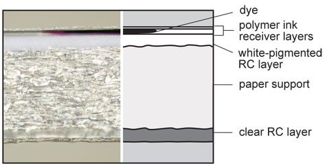 Polymer Inkjet Photo-Coated Paper