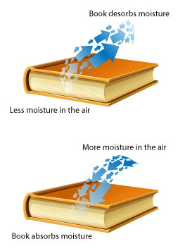 Diffusion