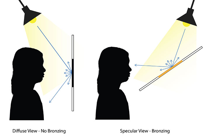 Specular and Diffuse View