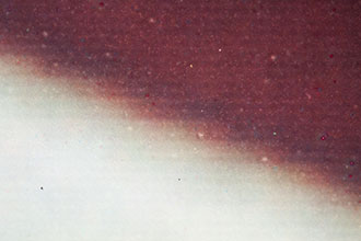 Dye sublimation print with horizontal printer lines